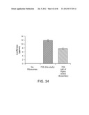 Method of Making Ribosomes diagram and image