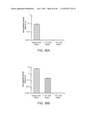 Method of Making Ribosomes diagram and image