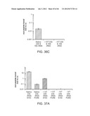 Method of Making Ribosomes diagram and image