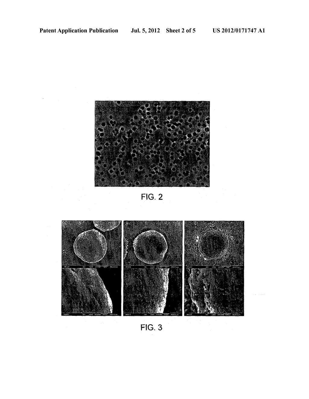 SIGNAL AMPLIFICATION MICROSPHERES, THEIR USE IN ONE-STEP AND MULTI-STEP     ANALYTICAL AMPLIFICATION PROCEDURES AND METHODS FOR THEIR PRODUCTION - diagram, schematic, and image 03