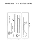 INTEGRATED APPARATUS FOR PERFORMING NUCLEIC ACID EXTRACTION AND DIAGNOSTIC     TESTING ON MULTIPLE BIOLOGICAL SAMPLES diagram and image