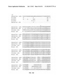 ANTIBODIES THAT SPECIFICALLY BIND HEDGEHOG-DERIVED POLYPEPTIDES diagram and image