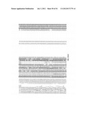 ANTIBODIES THAT SPECIFICALLY BIND HEDGEHOG-DERIVED POLYPEPTIDES diagram and image