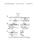 VIRUS DISCOVERY BY SEQUENCING AND ASSEMBLY OF VIRUS-DERIVED SIRNAS,     MIRNAS, PIRNAS diagram and image