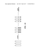METHODS AND COMPOSITIONS FOR DIAGNOSTIC ASSAYS FOR MEASURING CELL MEDIATED     IMMUNE RESPONSE diagram and image