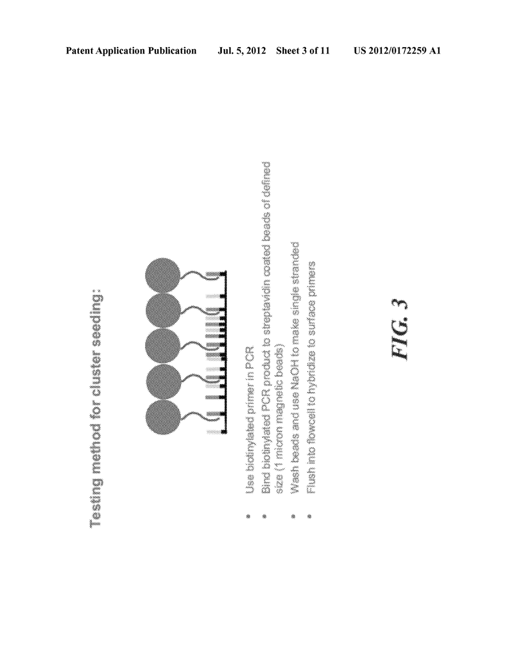 USING POPULATIONS OF BEADS FOR THE FABRICATION OF ARRAYS ON SURFACES - diagram, schematic, and image 04