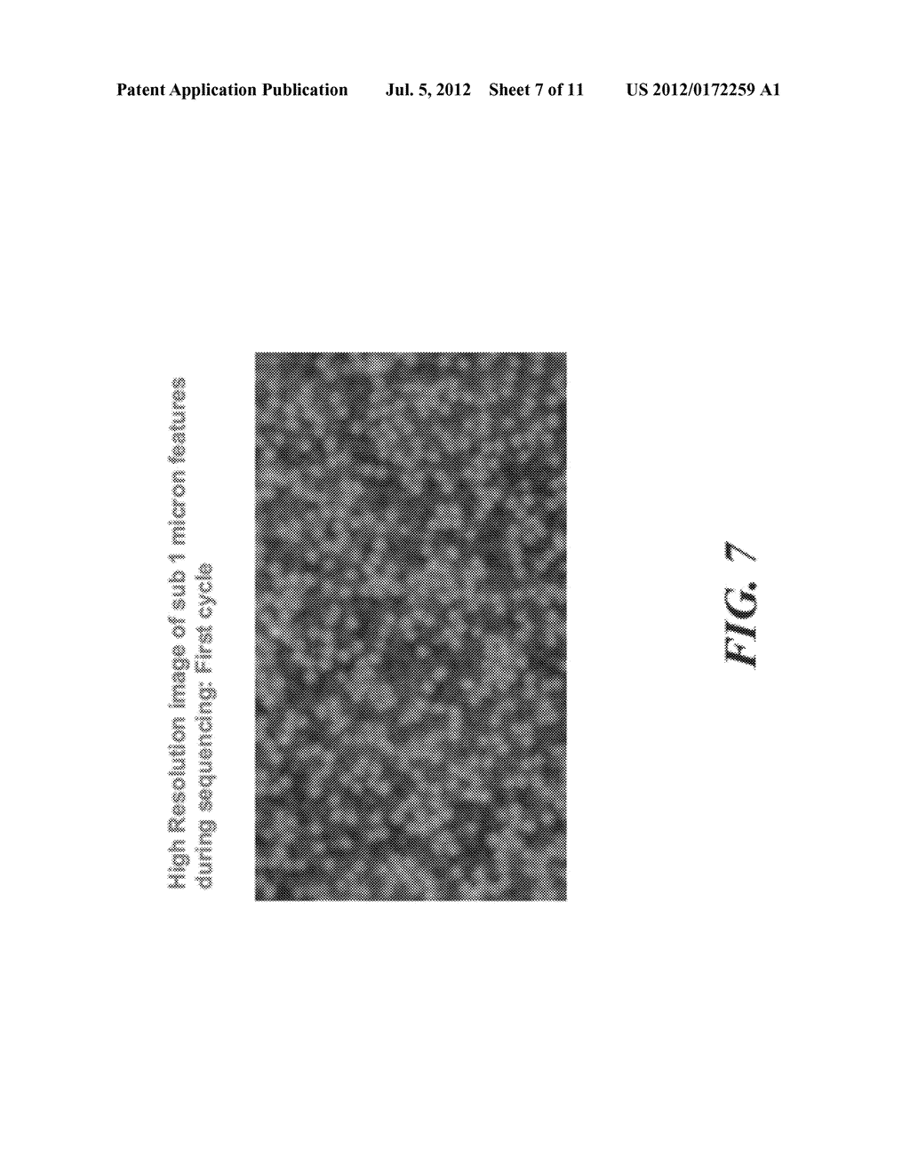 USING POPULATIONS OF BEADS FOR THE FABRICATION OF ARRAYS ON SURFACES - diagram, schematic, and image 08