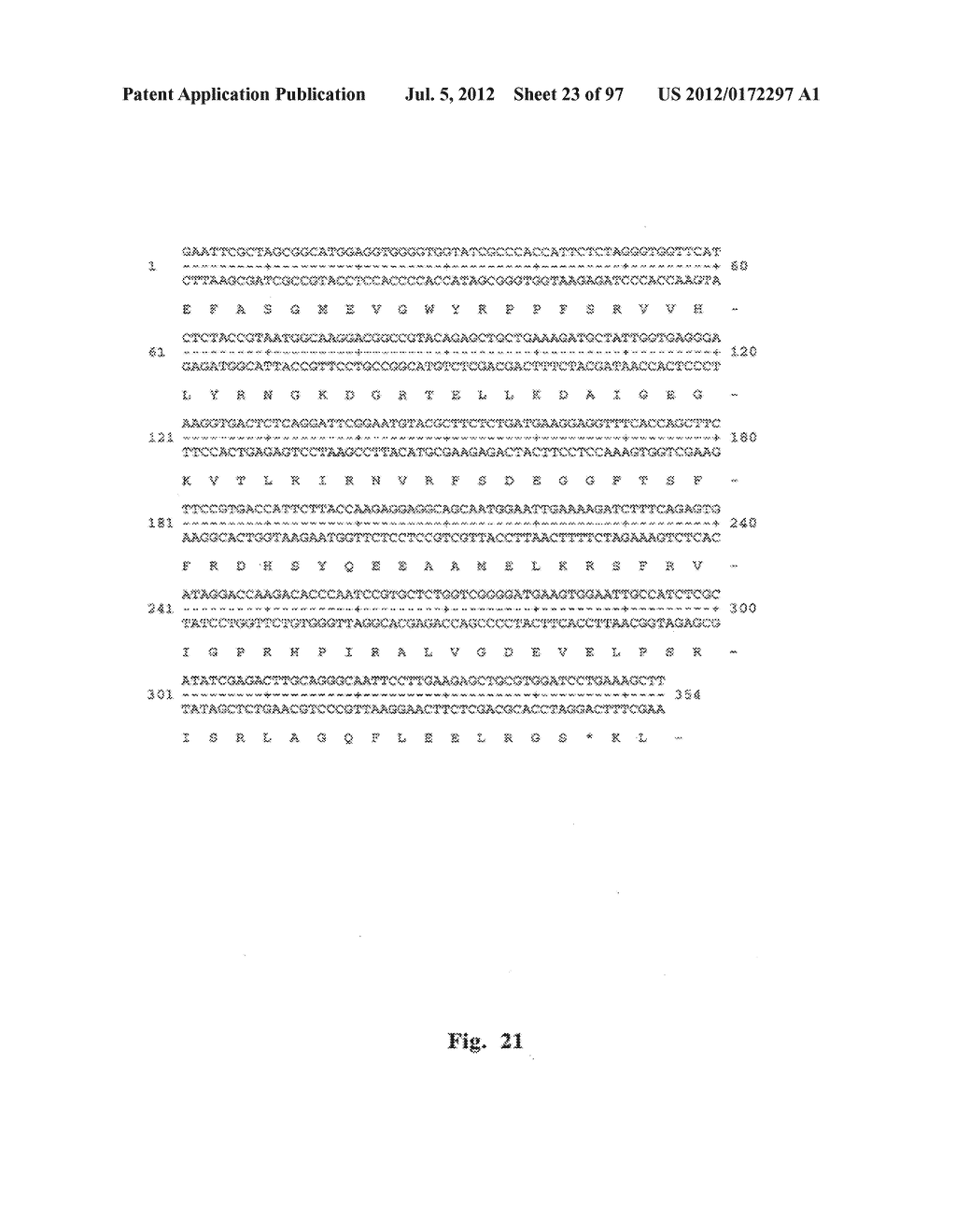 SYNTHETIC HUMAN GENES AND POLYPEPTIDES AND THEIR USE IN THE TREATMENT OF     AUTOIMMUNE DISEASES - diagram, schematic, and image 24