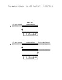 TREATMENT OF PROLIFERATIVE DISEASES diagram and image