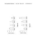 Klotho Protein and Related Compounds for the Treatment and Diagnosis of     Cancer diagram and image