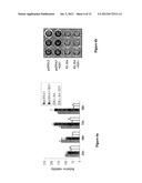 Klotho Protein and Related Compounds for the Treatment and Diagnosis of     Cancer diagram and image