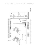 ANGIOGENIC RESORCINOL DERIVATIVES diagram and image