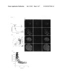 INSULIN-PRODUCING CELL INDUCER, GLUCOSE INTAKE ENHANCER, AND THERAPEUTIC     AGENT FOR DIABETES OR DIABETES COMPLICATIONS diagram and image