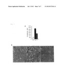 INSULIN-PRODUCING CELL INDUCER, GLUCOSE INTAKE ENHANCER, AND THERAPEUTIC     AGENT FOR DIABETES OR DIABETES COMPLICATIONS diagram and image