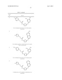 NOVEL TUBULIN INHIBITORS AND METHODS OF USING THE SAME diagram and image