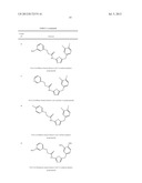 NOVEL TUBULIN INHIBITORS AND METHODS OF USING THE SAME diagram and image