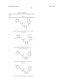 NOVEL TUBULIN INHIBITORS AND METHODS OF USING THE SAME diagram and image