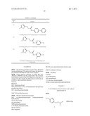 NOVEL TUBULIN INHIBITORS AND METHODS OF USING THE SAME diagram and image