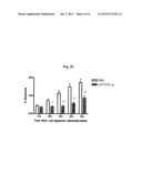 AMINE-BASED AND AMIDE-BASED INHIBITORS OF SEMICARBAZIDE-SENSITIVE AMINE     OXIDASE (SSAO) ENZYME ACTIVITY AND VAP-1 MEDIATED ADHESION USEFUL FOR     TREATMENT OF DISEASES diagram and image