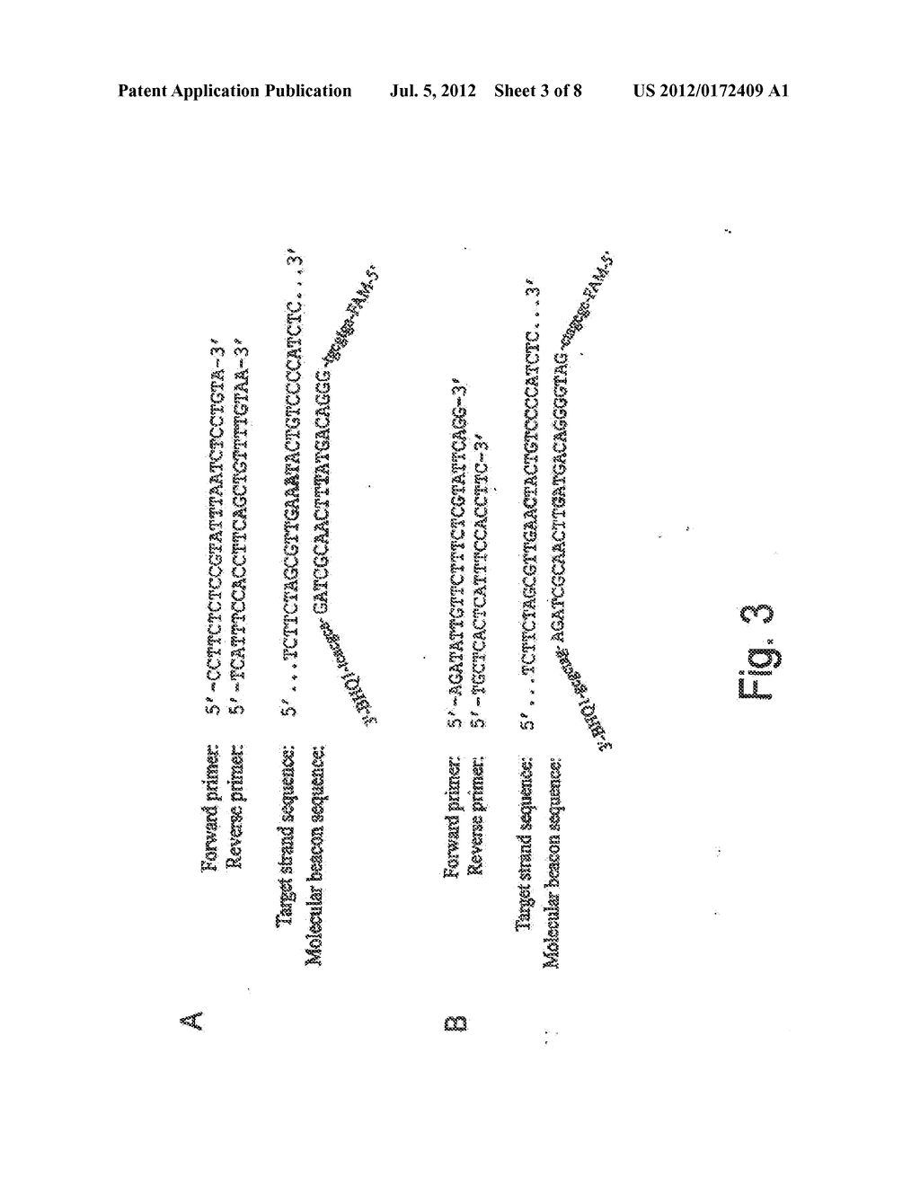 METHODS AND KITS FOR LINKING POLYMORPHIC SEQUENCES TO EXPANDED REPEAT     MUTATIONS - diagram, schematic, and image 04