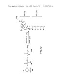 Wettable Hydrogel Materials For Use In Ophthalmic Applications And Methods diagram and image