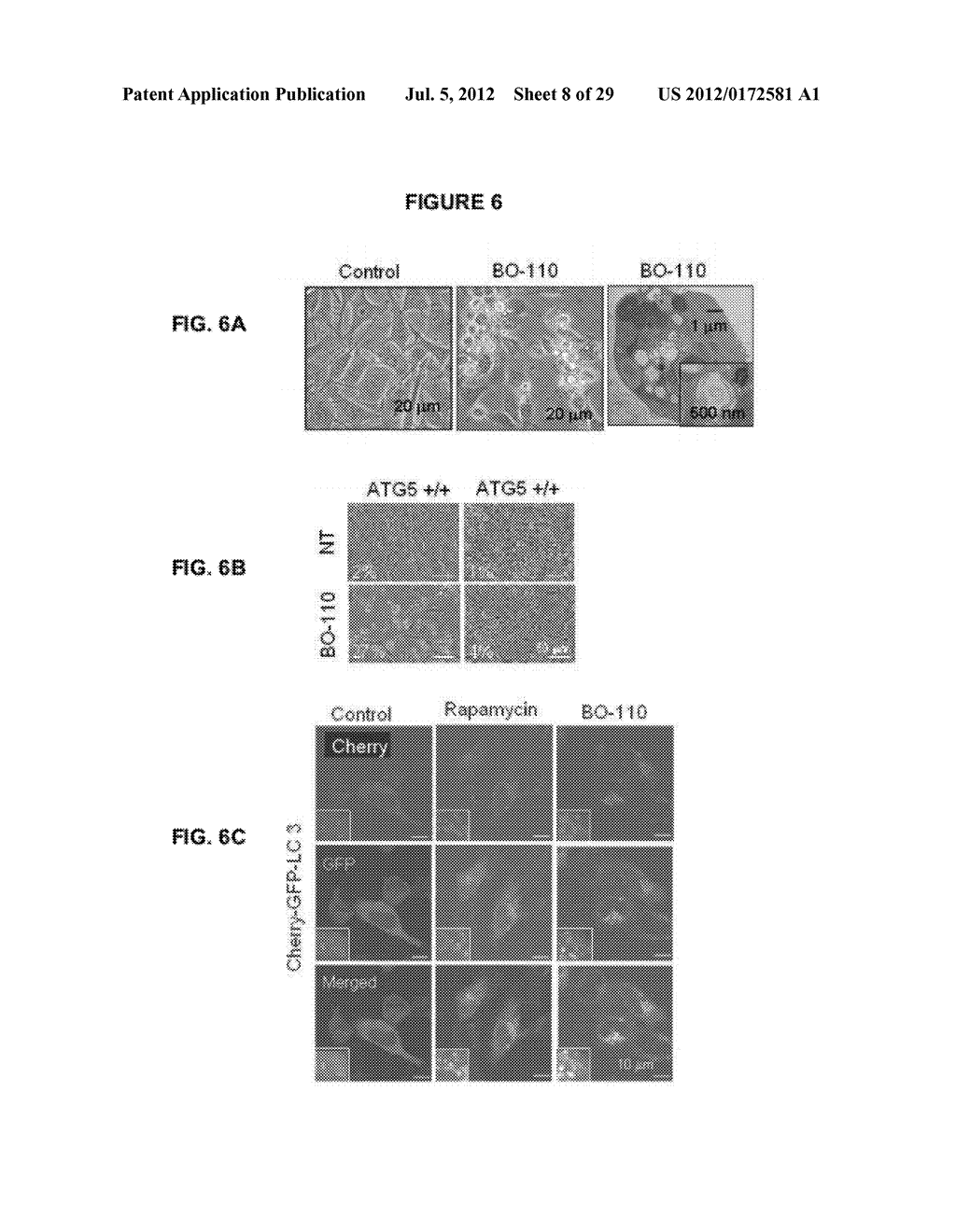 PROCESS FOR THE IDENTIFICATION OF COMPOUNDS FOR TREATING CANCER - diagram, schematic, and image 09