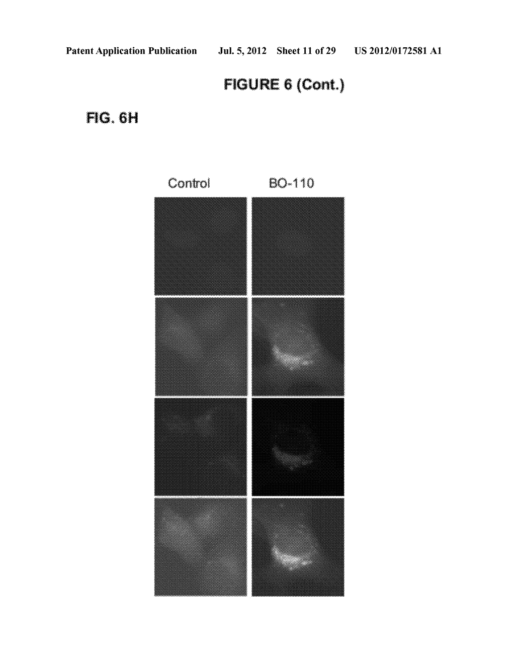 PROCESS FOR THE IDENTIFICATION OF COMPOUNDS FOR TREATING CANCER - diagram, schematic, and image 12