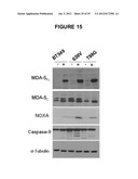 PROCESS FOR THE IDENTIFICATION OF COMPOUNDS FOR TREATING CANCER diagram and image