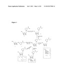 NICOTYL RIBOSIDE COMPOSITIONS AND METHODS OF USE diagram and image