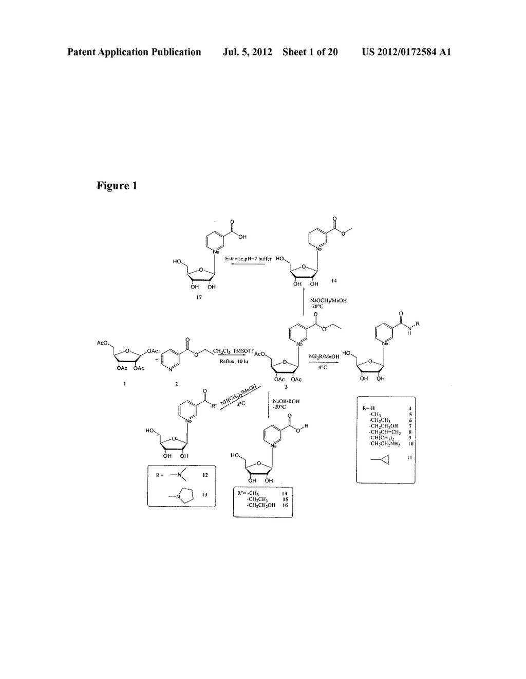 NICOTYL RIBOSIDE COMPOSITIONS AND METHODS OF USE - diagram, schematic, and image 02