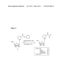 NICOTYL RIBOSIDE COMPOSITIONS AND METHODS OF USE diagram and image