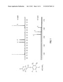 POLYMERS BEARING PENDANT PENTAFLUOROPHENYL ESTER GROUPS, AND METHODS OF     SYNTHESIS AND FUNCTIONALIZATION THEREOF diagram and image