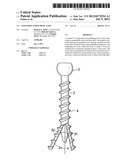 Expansion Screw Bone Tamp diagram and image