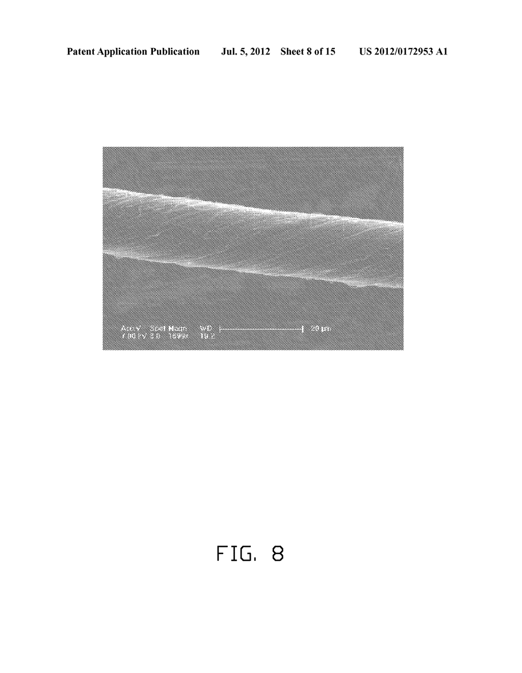 THERMAL THERAPY DEVICE INCORPORATING CARBON NANOTUBES - diagram, schematic, and image 09