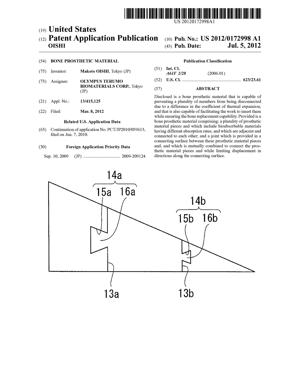 BONE PROSTHETIC MATERIAL - diagram, schematic, and image 01