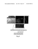 VEHICLE ROLL OVER PREVENTION SAFETY DRIVING SYSTEM AND METHOD diagram and image