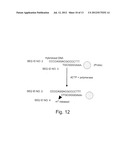 SENSING APPARATUS AND METHOD diagram and image