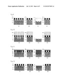 SEMICONDUCTOR DEVICE ENABLING FURTHER MICROFABRICATION diagram and image