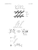 OPTICAL DEVICE AND METHOD FOR NON-INVASIVE REAL-TIME TESTING OF BLOOD     SUGAR LEVELS diagram and image