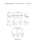 COMPOSITIONS AND METHODS OF ALTERATION OF AUTOIMMUNE DISEASES diagram and image