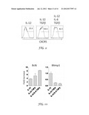 COMPOSITIONS AND METHODS OF ALTERATION OF AUTOIMMUNE DISEASES diagram and image