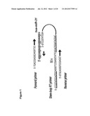 COMPOSITIONS AND METHODS FOR TREATMENT, DIAGNOSIS AND PROGNONIS OF     MESOTHELIOMA diagram and image