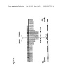 COMPOSITIONS AND METHODS FOR TREATMENT, DIAGNOSIS AND PROGNONIS OF     MESOTHELIOMA diagram and image