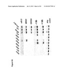 COMPOSITIONS AND METHODS FOR TREATMENT, DIAGNOSIS AND PROGNONIS OF     MESOTHELIOMA diagram and image