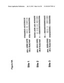 COMPOSITIONS AND METHODS FOR TREATMENT, DIAGNOSIS AND PROGNONIS OF     MESOTHELIOMA diagram and image