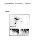 METHODS FOR TREATING AND/OR REVERSING NEURODEGENERATIVE DISEASES AND/OR     DISORDERS diagram and image