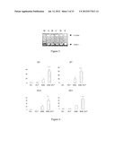 USE OF GINGIVAL FIBROBLASTS FOR VASCULAR CELL THERAPY diagram and image