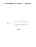 USE OF GINGIVAL FIBROBLASTS FOR VASCULAR CELL THERAPY diagram and image