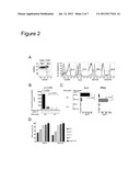 Enhancement of Allogeneic Hematopoietic Stem Cell Transplantation diagram and image