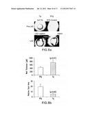 UPREGULATION OF INTEGRIN LINKED KINASE (ILK) TO PROVIDE CARDIOPROTECTIVE     EFFECTS diagram and image